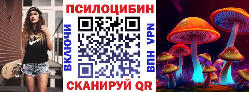 omg вход  купить   Наволоки  Псилоцибиновые грибы Magic Shrooms 